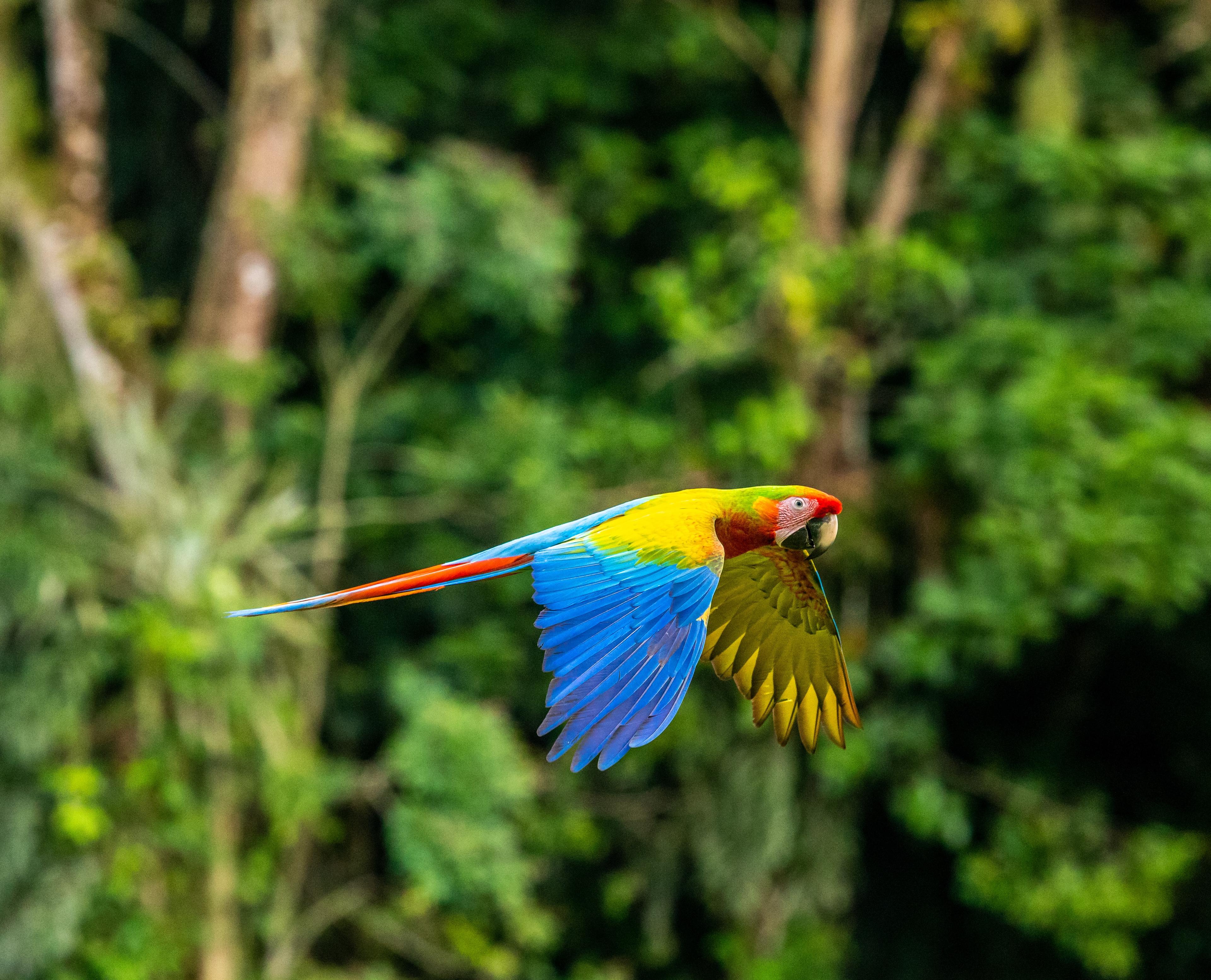 Costa Rica Tours and Eco Tours - background banner